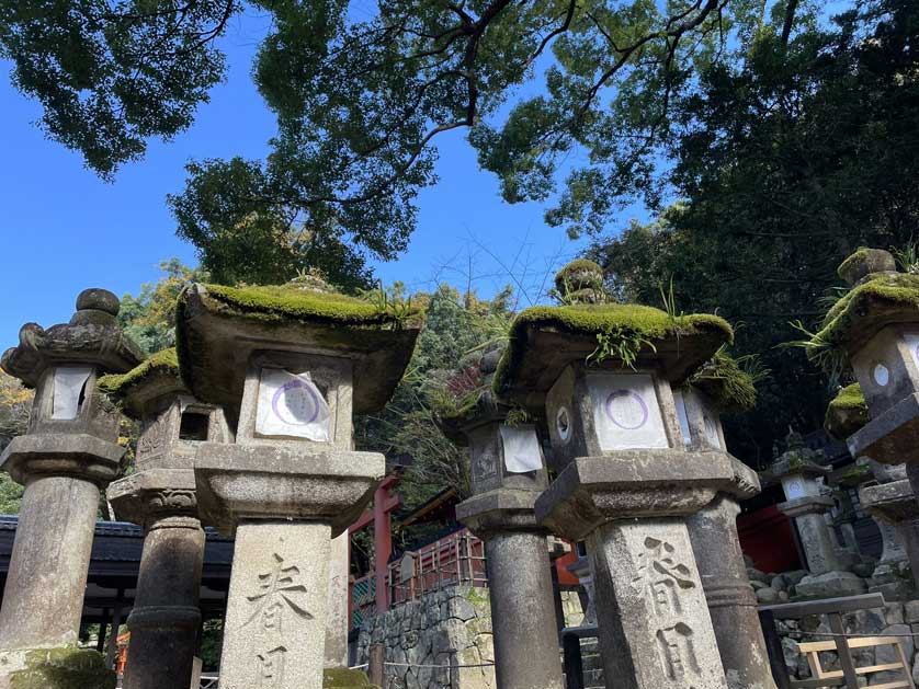 Moss covered stone lanterns.