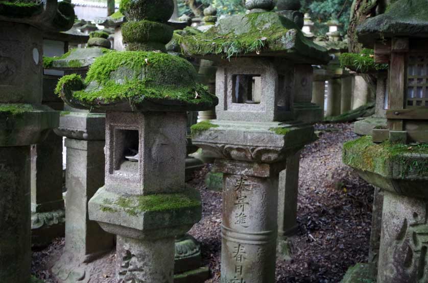 Moss-covered Stone Lanterns.