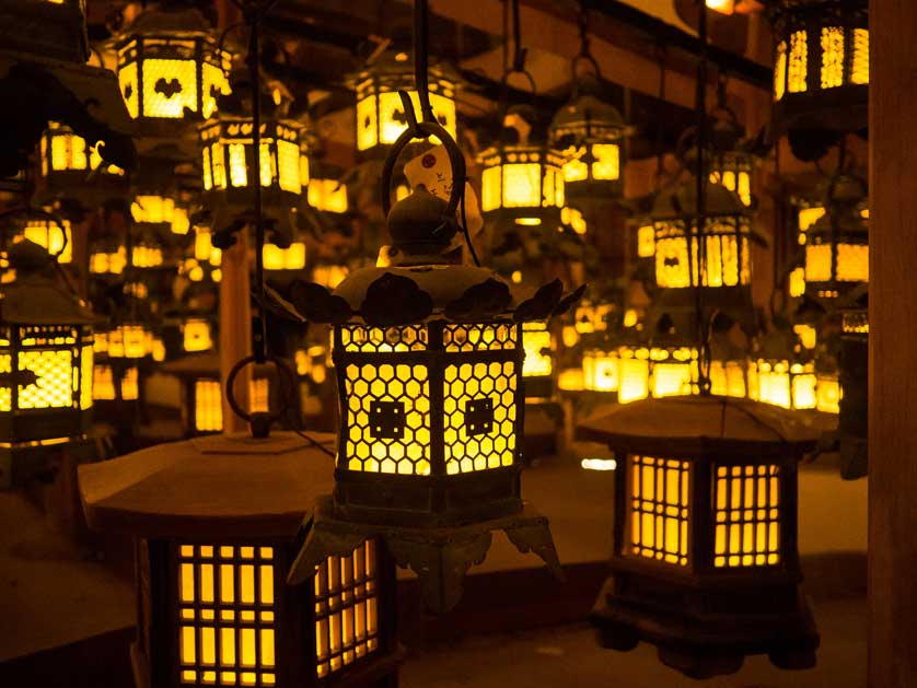 Lanterns in the shrine at night