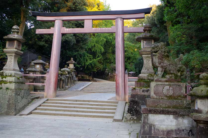 Torii Gate.