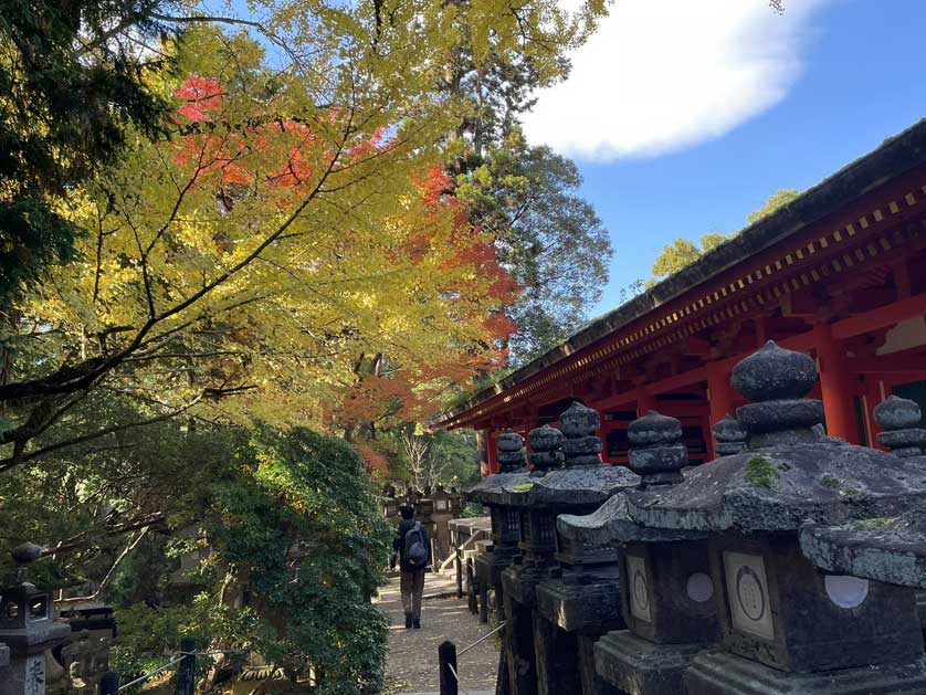 The shrine is now much busier since the onset of mass tourism to Japan.