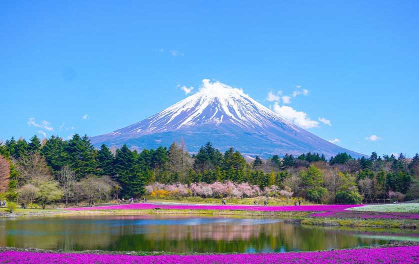 Mount Fuji - an icon of Japan.